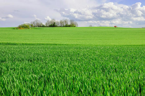 Les r&eacute;gions, puissantes actrices de la transformation &eacute;cologique | Q_ENR | Scoop.it