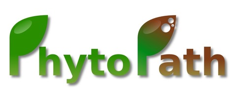 Course: Hands-on training at EBI - PhytoPath Training Course | Plant Pathogenomics | Scoop.it