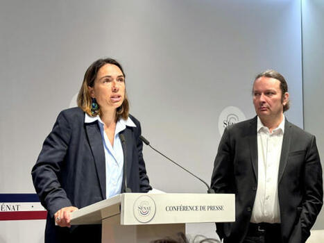 Anah, Anru, Ademe : ces agences que le Sénat veut supprimer, fusionner ou faire évoluer (abonnés) | Architecture - Construction | Scoop.it
