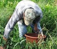 Aprobada la integración de los trabajadores agrarios en el régimen general de la Seguridad Social | Emplé@te 2.0 | Scoop.it