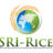 SRI-Rice