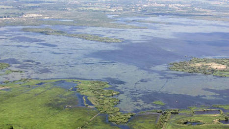 Loire-Atlantique : un projet de parc naturel r&eacute;gional de l'estuaire de la Loire au lac de Grand-Lieu | Parcs nationaux, r&eacute;gionaux et autres espaces naturels prot&eacute;g&eacute;s | Scoop.it