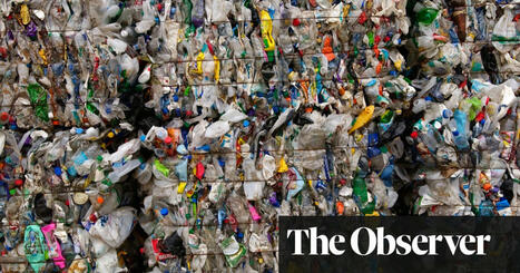 British food firms lobbied to defer £1.7bn plastic packaging tax, documents reveal | Packaging | The Guardian | Microeconomics: IB Economics | Scoop.it