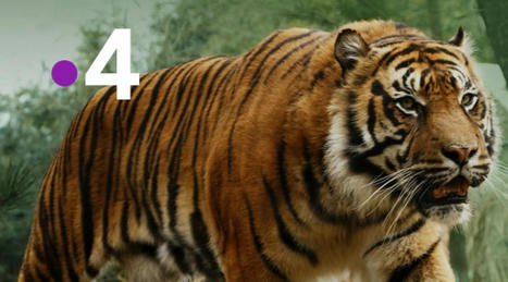 France 4 continuera, avec Okoo et Culture Box | DocPresse ESJ Lille | Scoop.it