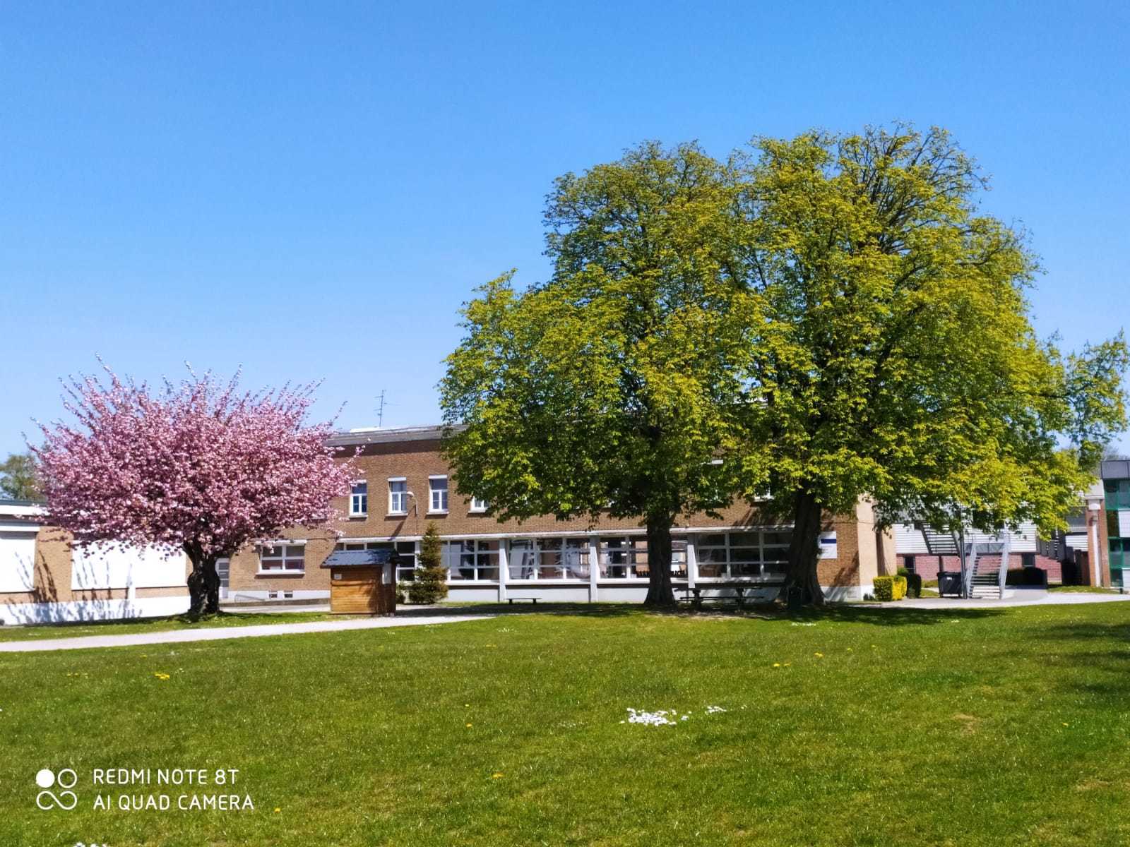 Lycée Saint Vincent De Paul Loos Tarif