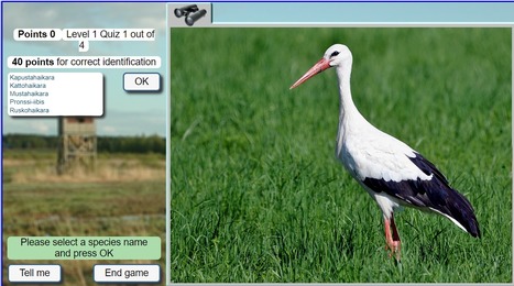 Bird quiz ComputerBirding | 1Uutiset - Lukemisen tähden | Scoop.it