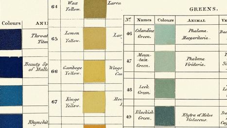 The Beautiful, Forgotten Color Language Of 19th-Century Naturalists | color | Scoop.it