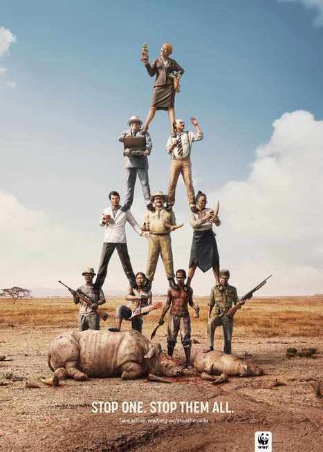 Brilliantly clever WWF adverts against poaching | consumer psychology | Scoop.it