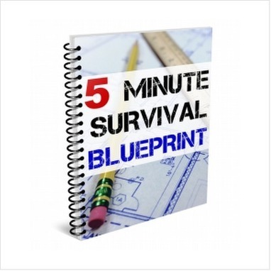5 Minute Survival Blueprint Ebook PDF Download | E-Books & Books (Pdf Free Download) | Scoop.it