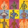Cultural evolution