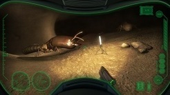 Un jeu qui nous plonge dans une termitière | Mission Jeux sérieux | Scoop.it