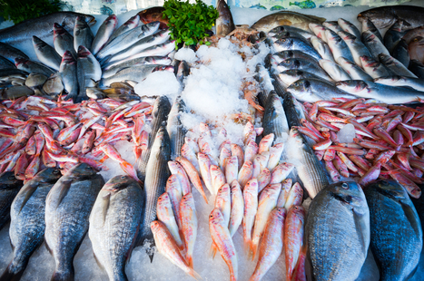 La pêche française, un secteur prospère à l'avenir en question | HALIEUTIQUE MER ET LITTORAL | Scoop.it