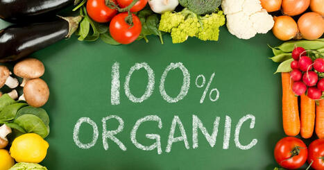 India cracks down on ‘100%’ food claims amid global scrutiny | Indian Travellers | Scoop.it