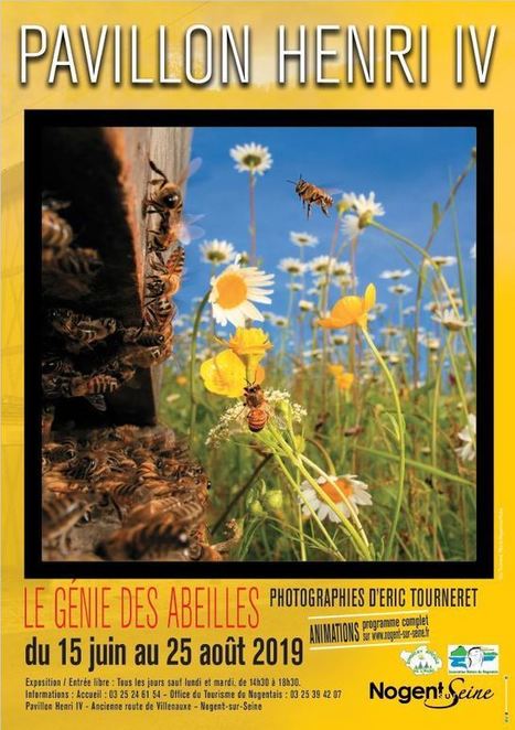 Aube - Manifestation culturelle - EXPOSITION PAVILLON HENRI IV - LE GENIE DES ABEILLES - Agenda Nogent-sur-Seine 10400 | GREENEYES | Scoop.it