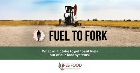Fuel To Fork | Questions de développement ... | Scoop.it