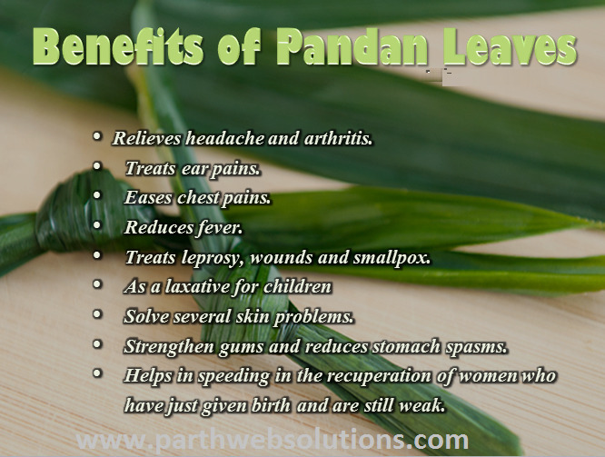Benefits of Pandan Leaves Pharmacy Dropshippe...