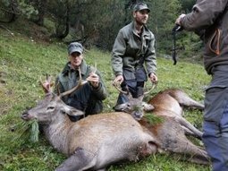 Ordonnance sur la chasse: 10'000 signatures contre le projet - Swisscom | Planète, Nature et Biodiversité | Scoop.it