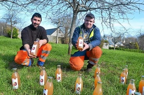 Lannion.  La ville produit son jus de pommes | L'actualité des quartiers politique de la ville de Bretagne et Pays de la Loire | Scoop.it