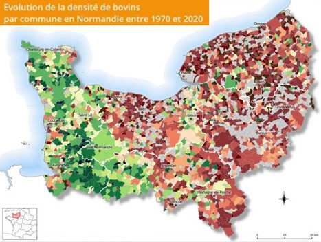 DRAAF Normandie : évolution des effectifs de bovins entre 1970 et 2020 | Lait de Normandie... et d'ailleurs | Scoop.it