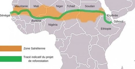 #Sahel : le projet de la Grande #muraille #verte à moitié achevé | RSE et Développement Durable | Scoop.it