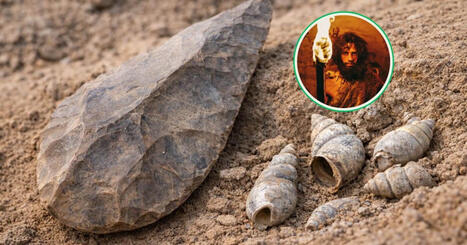 Un hallazgo en el valle del Jord&aacute;n &ldquo;cambia la historia&rdquo; al adelantar la salida de &Aacute;frica hasta hace 1,9 millones de a&ntilde;os | Mi Caj&oacute;n de Ideas | Scoop.it