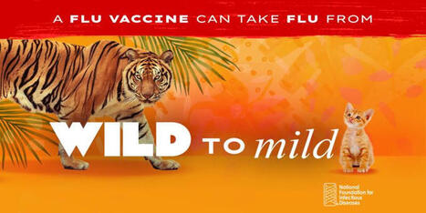 From Wild to Mild: The Power of Flu Vaccination | Elena Semino | H&eacute;sitations Vaccinales: Observatoire HESIVAXs | Scoop.it