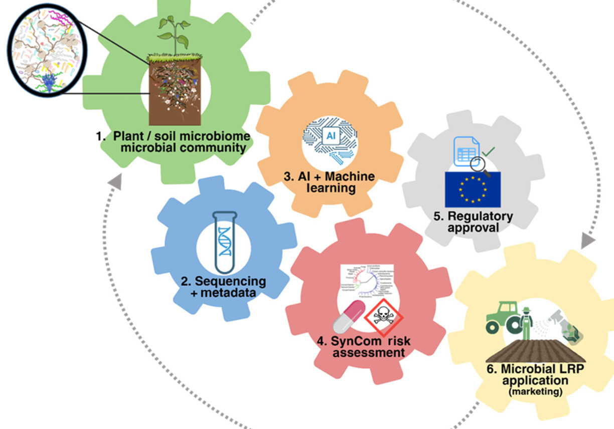 Machine learning for designing low-risk microbi...