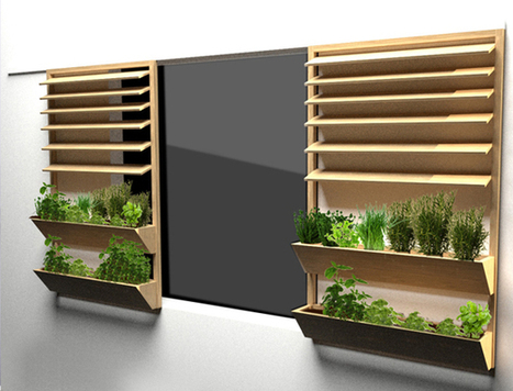 Les potagers urbains grimpent aux facades | Ces infos qui nous font du bien | Scoop.it