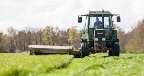 The Netherlands are almost the world’s largest exporter of agricultural products | LE GRAND NORD | Scoop.it