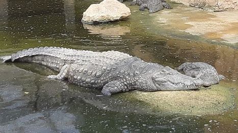 Des sites touristiques de Dr&ocirc;me Ard&egrave;che tentent de s'adapter aux canicules qui se r&eacute;p&egrave;tent | Les evolutions de l'offre touristique | Scoop.it