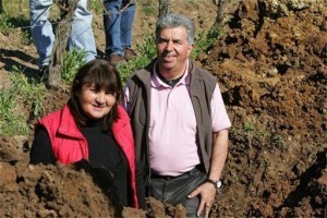 15 minutes pour comprendre l’impasse de l’agriculture productiviste en vidéo avec Claude Bourguignon | Groupe local "Plaine de Versailles – Plateau de Saclay" | Nouveaux paradigmes | Scoop.it