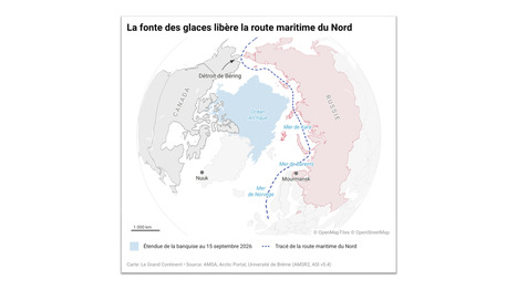 ARCTIQUE : Il y a eu plus de transits sur la route maritime du Nord en neuf mois qu&rsquo;au cours de l&rsquo;ann&eacute;e 2025 | COMMERCE & LOGISTIQUE | Scoop.it