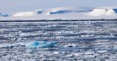 Le neuvième rapport Copernicus sur l'état des océans fait état d'une situation alarmante | Environnement : Politiques Publiques et Stratégie | Scoop.it