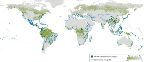 Limitations of carbon markets for biodiversity conservation -Nature Reviews Biodiversity | Biodiversit&eacute; | Scoop.it