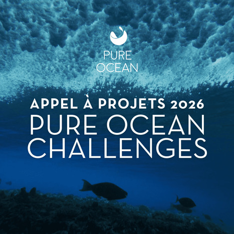 Pure Ocean Launches 2025/26 Call for Innovative Marine Research Projects to Protect Global Biodiversity | Life Sciences Université Paris-Saclay | Scoop.it
