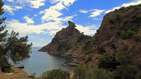 Collision au large du Cap Corse : le parc national des Calanques touché par la pollution | GREENEYES | Scoop.it