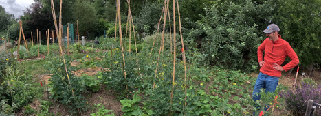 AGRICULTURE : seminaire cocultures | INRAE | CIHEAM Press Review | Scoop.it