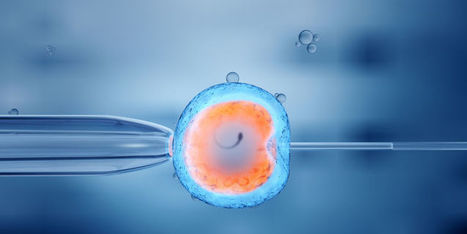 Les Français inquiets face à la modification génétique d'embryons humains | Bioéthique & Procréation | Scoop.it