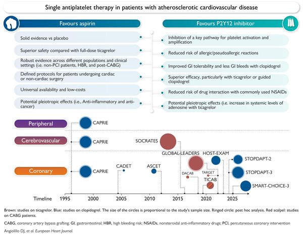 Aspirin or P2Y12 inhibitor monotherapy in atherosclerotic cardiovascular disease? | Interventional Cardiology | Scoop.it