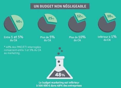 Le marketing #B2B dans les PME : Quels budgets ? | B2B OP TBS | Scoop.it