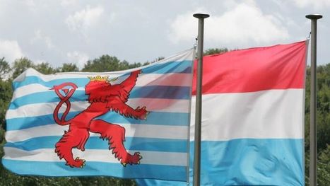Brexit: Japanese insurer Tokio Marine chooses Luxembourg for EU base | Luxembourg (Europe) | Scoop.it