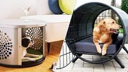 Broom Clean Condition: What Does It Mean If You're Moving Out? | Best FL FSBO & Real Estate Scoops | Scoop.it