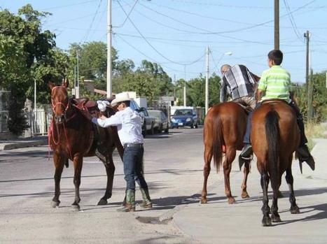 Inteligentes y leales son los caballos - El Imparcial.com | Caballo, Caballos | Scoop.it