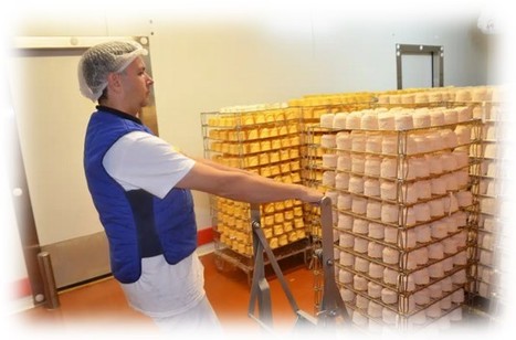 Un seul des producteurs de fromage de langres en propose au lait cru | Lait de Normandie... et d'ailleurs | Scoop.it