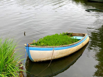 Soustons&nbsp;: une nouvelle commission pour veiller sur l&rsquo;avenir et les usages du lac | Landes - Conseils municipaux & communautaires | Scoop.it