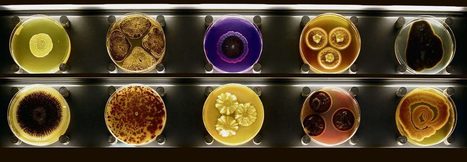 The First and Only Museum of Microbes Captivates Amsterdam | iBB | Scoop.it