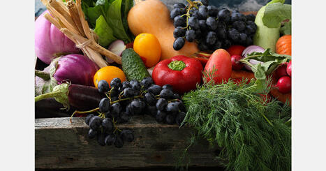 F&V: China, Spain, and the Netherlands are the leading global exporters of fruit and vegetables | Revue de presse - Club DEMETER | Scoop.it