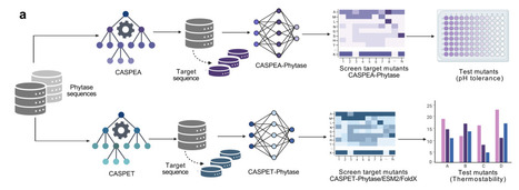 A Critical Sites-Driven and Light-weighted Protein Engineering Platform | brvai | RMH | Scoop.it