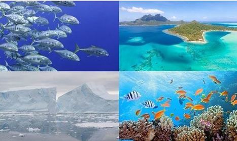 Ségolène Royal salue l’adoption du programme de travail du GIEC et le lancement des 3 rapports spéciaux, notamment celui sur l’Océan - Ministère de l'Environnement, de l'Energie et de la Mer | Biodiversité | Scoop.it