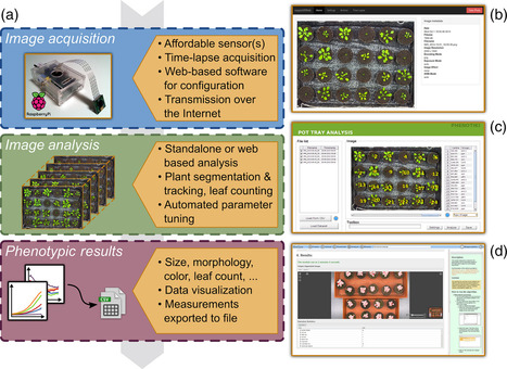 Phenotiki: an open software and hardware platform for affordable and easy image-based phenotyping of rosette-shaped plants | Plant & environmental stress | Scoop.it